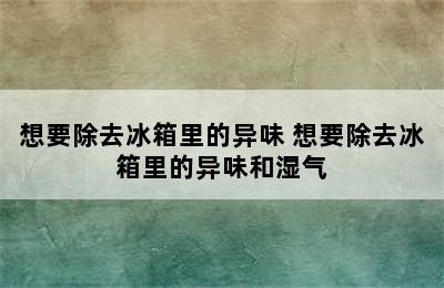 想要除去冰箱里的异味 想要除去冰箱里的异味和湿气